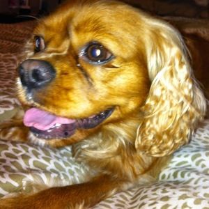 Meet your Posher, Renae